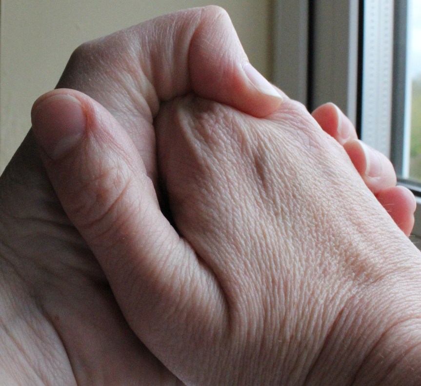 Thing 11 –&nbsp;mentoring