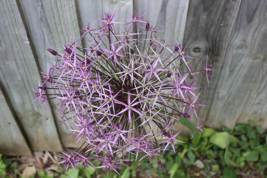 Cool, hip and trendy… looking like&nbsp;a